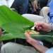 packaging the future, green packaging, natural packaging, sustainable design, green design, banana leave packaging, eating with banana leaves, green food packaging