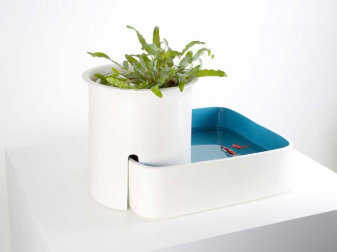 eco system, domestic ponds, symbiosis, natural filter, aquarium, blown glass, sustainable design, green design