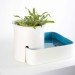 eco system, domestic ponds, symbiosis, natural filter, aquarium, blown glass, sustainable design, green design
