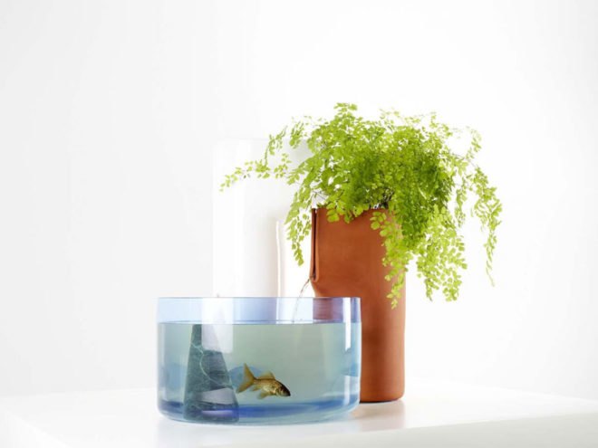 eco system, domestic ponds, symbiosis, natural filter, aquarium, blown glass, sustainable design, green design