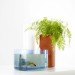 eco system, domestic ponds, symbiosis, natural filter, aquarium, blown glass, sustainable design, green design