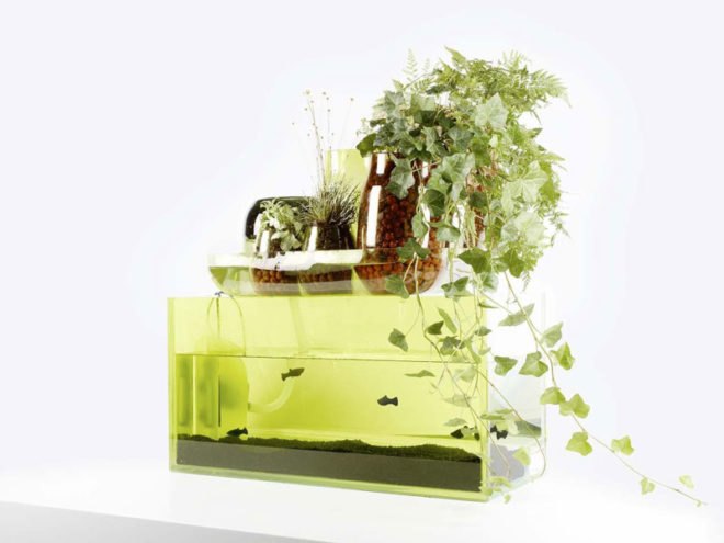 eco system, domestic ponds, symbiosis, natural filter, aquarium, blown glass, sustainable design, green design