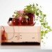 eco system, domestic ponds, symbiosis, natural filter, aquarium, blown glass, sustainable design, green design