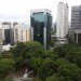 Flip flop monkey, Flip flops, art, sculptures, recyclable materials, pixel show, sao paolo, brazil, brazilian art