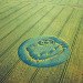 curb media, uk, british design, natural, advertising, logos, ad, sand, snow, plants, eco, green, sustinable, graphics