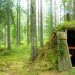 kolarbyn, eco tourism, green architecture, green roof, eco hotel, green hotel, camping, sweden, green hut, green design, sustainable travel, eco design
