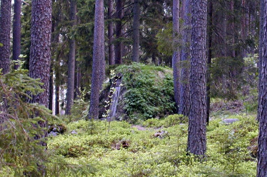 kolarbyn, eco tourism, green architecture, green roof, eco hotel, green hotel, camping, sweden, green hut, green design, sustainable travel, eco design