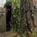 kolarbyn, eco tourism, green architecture, green roof, eco hotel, green hotel, camping, sweden, green hut, green design, sustainable travel, eco design
