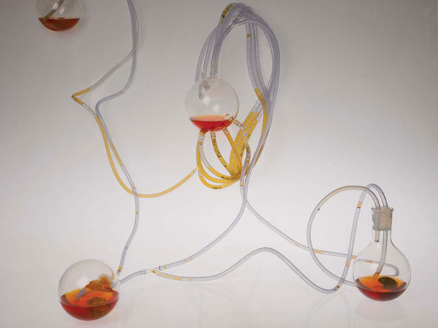 Craft x biology, domestication of biotechnologies, biochemistry, sustainable design, responsive textile, intelligent materials, human plant/aquatic interaction, biomimetics, 3-dimetional textiles
