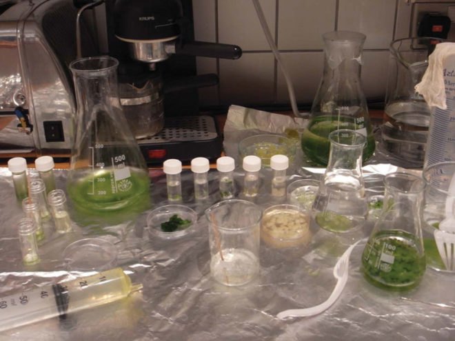 Craft x biology, domestication of biotechnologies, biochemistry, sustainable design, responsive textile, intelligent materials, human plant/aquatic interaction, biomimetics, 3-dimetional textiles