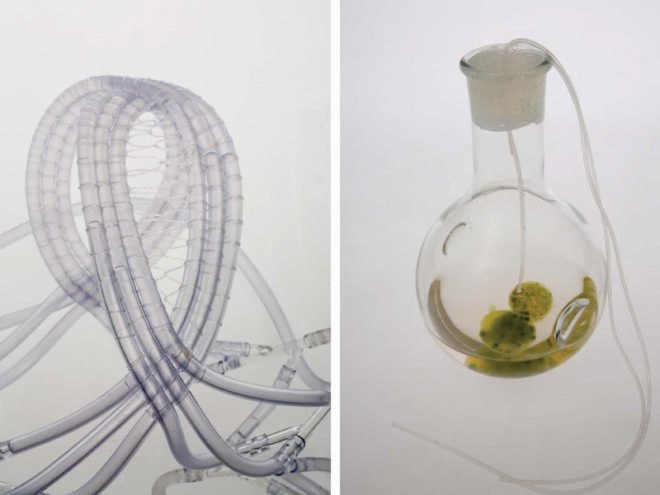 Craft x biology, domestication of biotechnologies, biochemistry, sustainable design, responsive textile, intelligent materials, human plant/aquatic interaction, biomimetics, 3-dimetional textiles