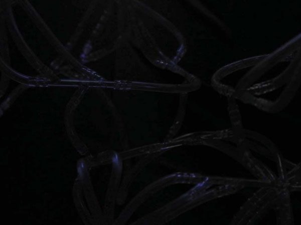 Craft x biology, domestication of biotechnologies, biochemistry, sustainable design, responsive textile, intelligent materials, human plant/aquatic interaction, biomimetics, 3-dimetional textiles