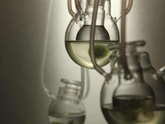 Craft x biology, domestication of biotechnologies, biochemistry, sustainable design, responsive textile, intelligent materials, human plant/aquatic interaction, biomimetics, 3-dimetional textiles