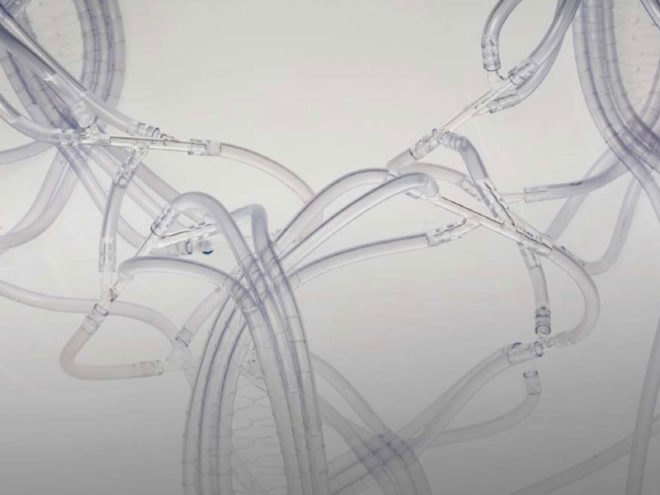 Craft x biology, domestication of biotechnologies, biochemistry, sustainable design, responsive textile, intelligent materials, human plant/aquatic interaction, biomimetics, 3-dimetional textiles