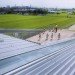 green school, Japanese green preschool, UZU architects, school daylighting