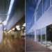 green school, Japanese green preschool, UZU architects, school daylighting