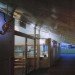 green school, Japanese green preschool, UZU architects, school daylighting