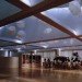 green school, Japanese green preschool, UZU architects, school daylighting