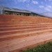green school, Japanese green preschool, UZU architects, school daylighting