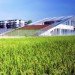 green school, Japanese green preschool, UZU architects, school daylighting