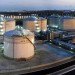 biodiesel, biofuel, singapore, rotterdam, neste, animal fat, green design