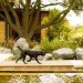 bardessono, leed platinum hotel, green hotel, eco hotel, green design, eco architecture, green architecture, eco design, eco hotel, eco spa resort, eco resort in Napa, Napa eco resort, green spa resort, Napa, LEED-certified spa resort in Napa, St. Helena