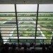 biblioteca vasconelos, mexico city, public library, botanical garden, alberto kalach, green building, sustainable architecture