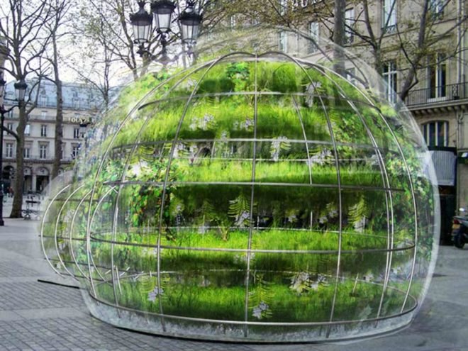 bulle, plante, bubble, plants, orchids, paris, parisian, france, pop-up, exhibition, design, holland, flowers, eco, sustainable, green, environment