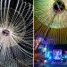 exhale pavilion, rachely rotem, phu hoang, art basel miami beach, art installation, glowing ropes