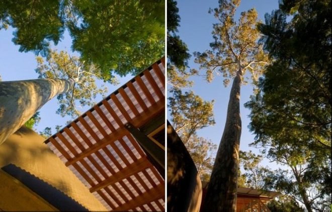 hilltop house, richard cole architecture, rainwater collection, site sensitive home, green building, sustainable architecture