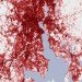 urban heat islands, heat islands, urban design, sustainable city planning, city planning, urban planning, sustainable urban planning, nasa sattelite photos, nasa heat island photos, northeast heat island