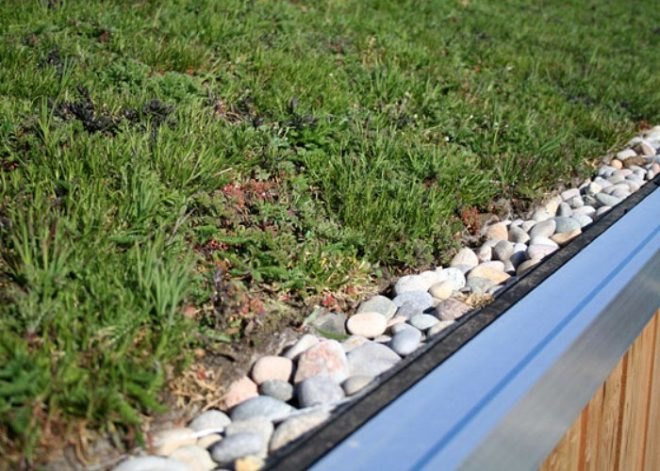 roomworks, garden office, green roof, home office, uk, green design, sustainable architecture