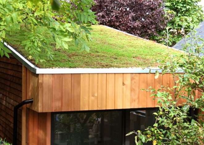 roomworks, garden office, green roof, home office, uk, green design, sustainable architecture