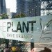 The Plant Cafe Organic, green restaurant, ccs architecture, organic food, green design, sustainable architecture, green renovation, san francisco