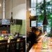 The Plant Cafe Organic, green restaurant, ccs architecture, organic food, green design, sustainable architecture, green renovation, san francisco