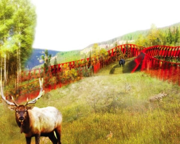 Innovative Wildlife Crossings for Denver's Perilous I-70 West