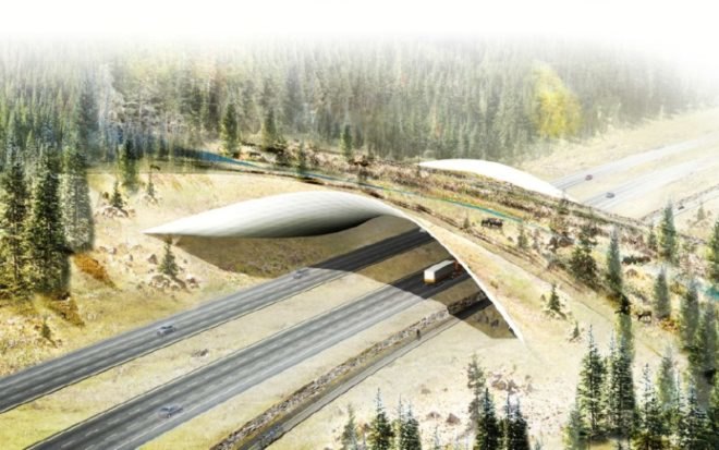 wildlife crossing, design competition, native vegetation, green design, sustainable architecture