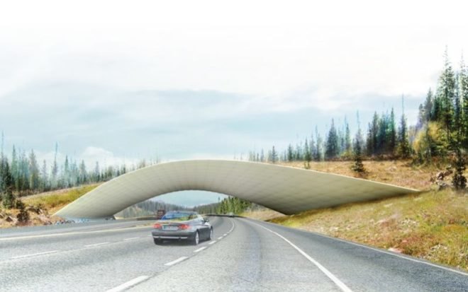 wildlife crossing, design competition, native vegetation, green design, sustainable architecture