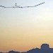 Qinetiq Zephyr, qinetiq uav, zephyr record, zephyr uav, zephyr flight record, zephyr uav unmanned record, zephyr uav record fai,