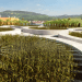 harvest city, haiti, green architecture, green design, agricultural city, eco architecture, floating city, rebuilding haiti, E. Kevin Schopfer, tangram3ds, arcology, floating home, eco design
