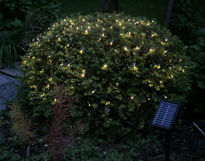 led holiday lights, sustainable xmas lights, led string lights, energy efficient lighting, holiday decorations, sustainable lighting, green design