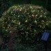 led holiday lights, sustainable xmas lights, led string lights, energy efficient lighting, holiday decorations, sustainable lighting, green design
