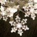 led holiday lights, sustainable xmas lights, led string lights, energy efficient lighting, holiday decorations, sustainable lighting, green design