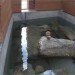 Washington green building,Rammed earth, Tacoma green building, Earth Robert M Horner, Bly Windstorm, Center for Urban Waters, Sound Chamber,