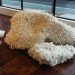 recycled, Recycled Materials, recycling, New York City, green artist, trash art, kim holleman, zeina assaf, ny studio gallery, Art
