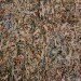 recycled, Recycled Materials, recycling, New York City, green artist, trash art, stephen mallon, zeina assaf, ny studio gallery, Art