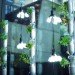 windowfarms, urban gardening, the windowfarms project, indoor garden, recycled materials, sustainable design, green design, diy hanging garden