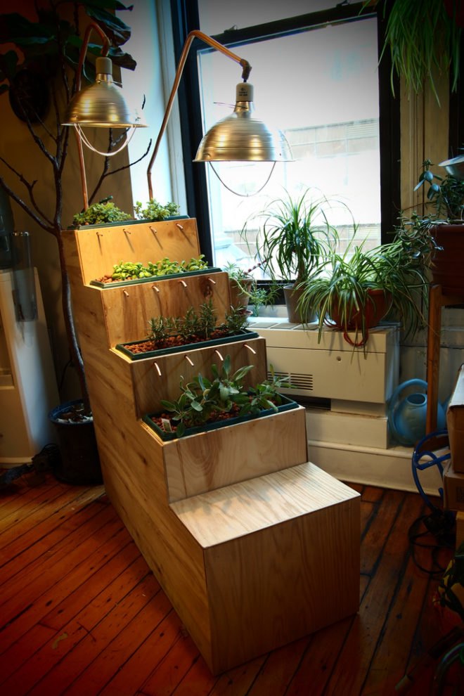 Planting Steps by MIke Cohen, David Phillips, and Michelle Temple, NYU ITP, sustainable design, green design, tisch school, Interactive Telecommunications Graduate Program, green design, sustainable design, living systems, gardening, urban food systems, technology botany