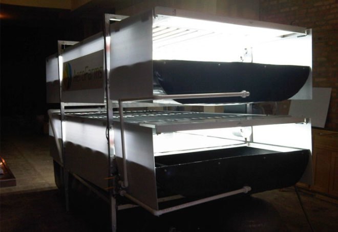 hydroponic farm, hydroponic vegetables, grow hydroponic vegetables, aerofarm, saudi arabia farm