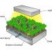 hydroponic farm, hydroponic vegetables, grow hydroponic vegetables, aerofarm, saudi arabia farm